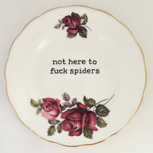 Not here to fuck spiders plate
