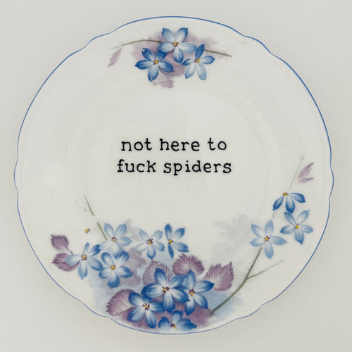Not Here To Fuck Spiders